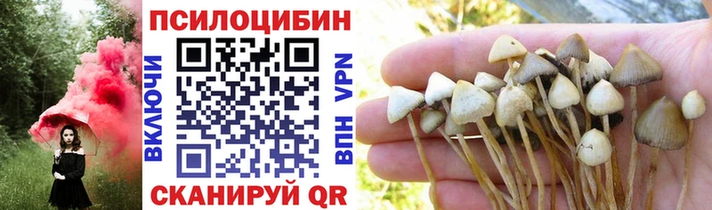 Псилоцибиновые грибы Magic Shrooms Бирск
